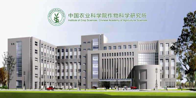 中国农业科学院作物科学研究所
