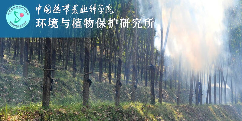 中国热带农业科学院环境与植物保护研究所