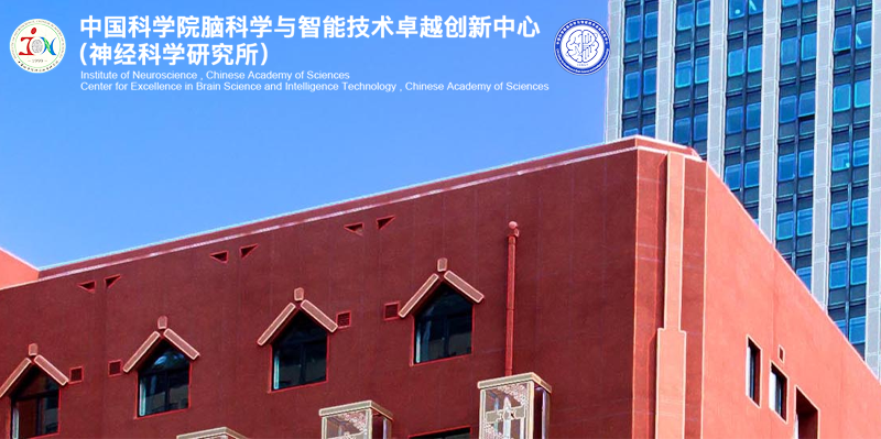 中国科学院脑科学与智能技术卓越创新中心/神经科学研究所